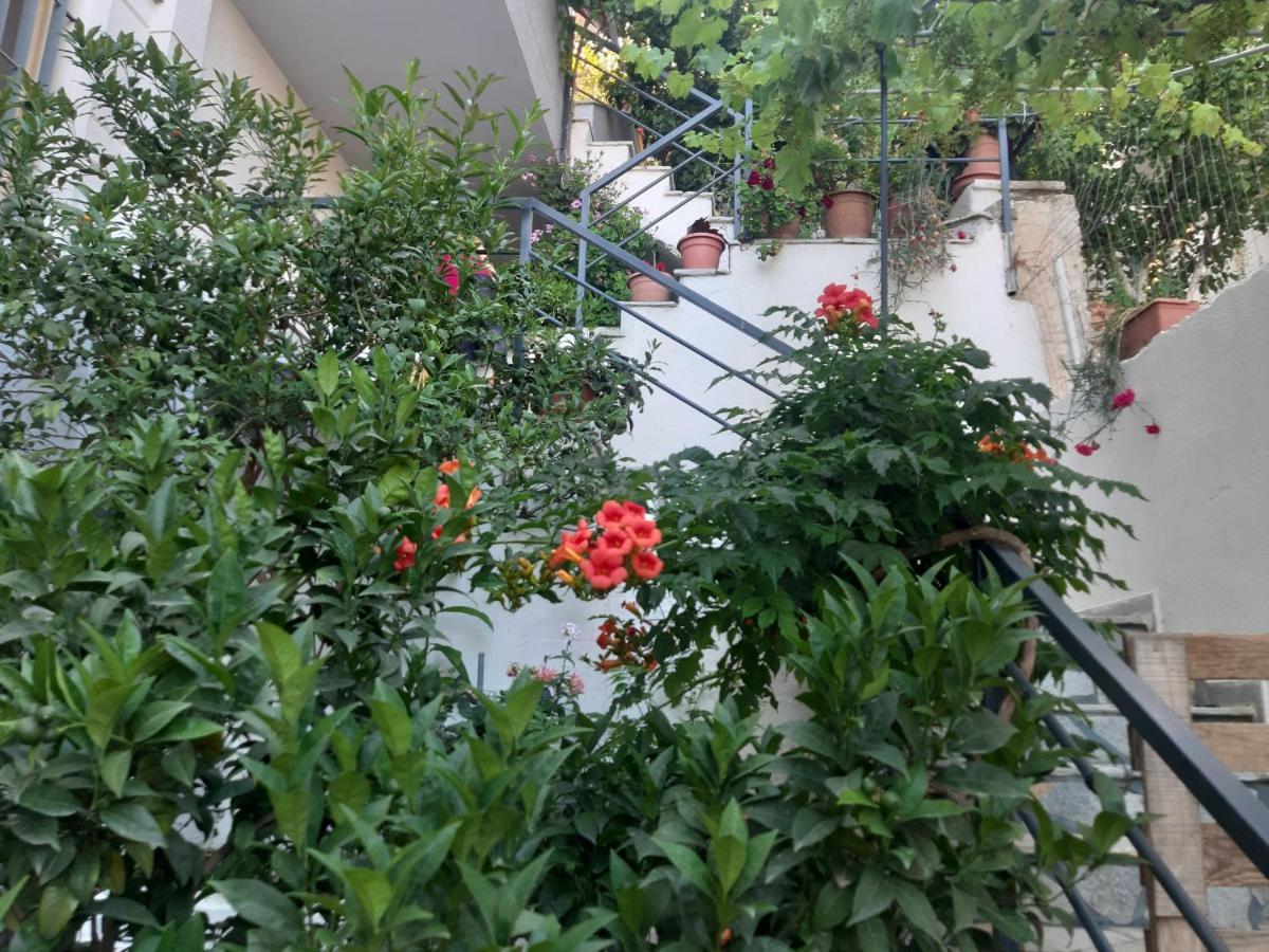 Mane Apartments Sarandë エクステリア 写真